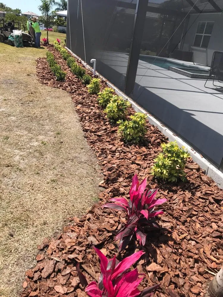 Trusted yard cleanup service in Bradenton, FL - House Cleaning & Landscaping Quality Services