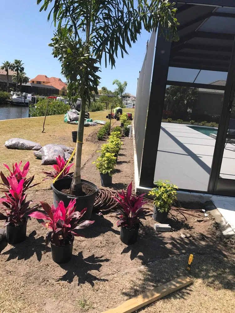 Reliable lawn care service in Bradenton, FL - House Cleaning & Landscaping Quality Services