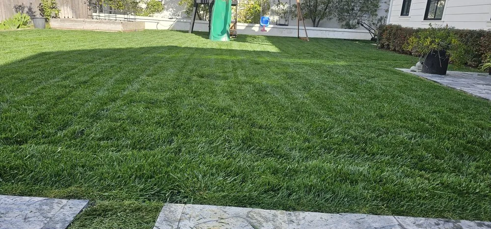 Local landscape installation in San Fernando Valley, CA by House Face