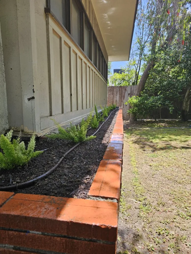 Affordable landscape design in San Fernando Valley, CA - House Face