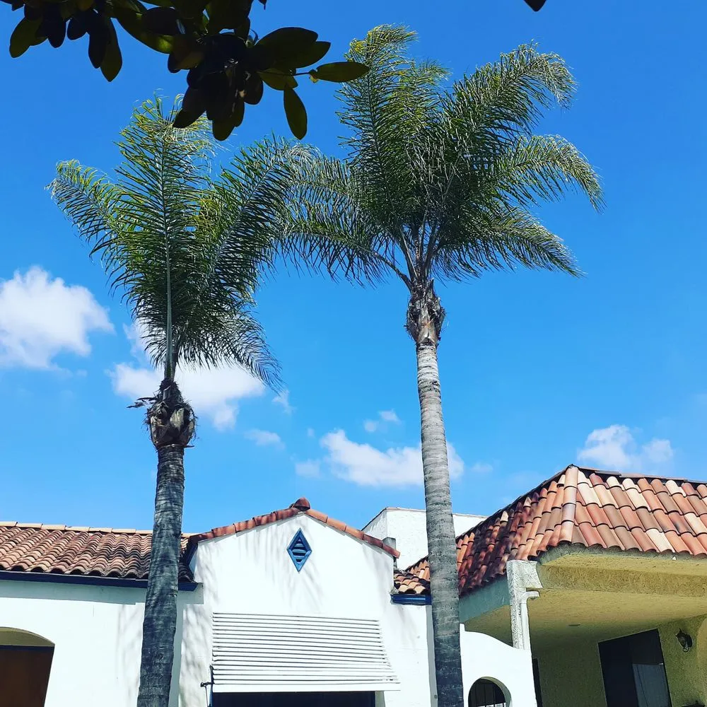 Custom residential landscaping experts serving San Fernando Valley, CA - House Face