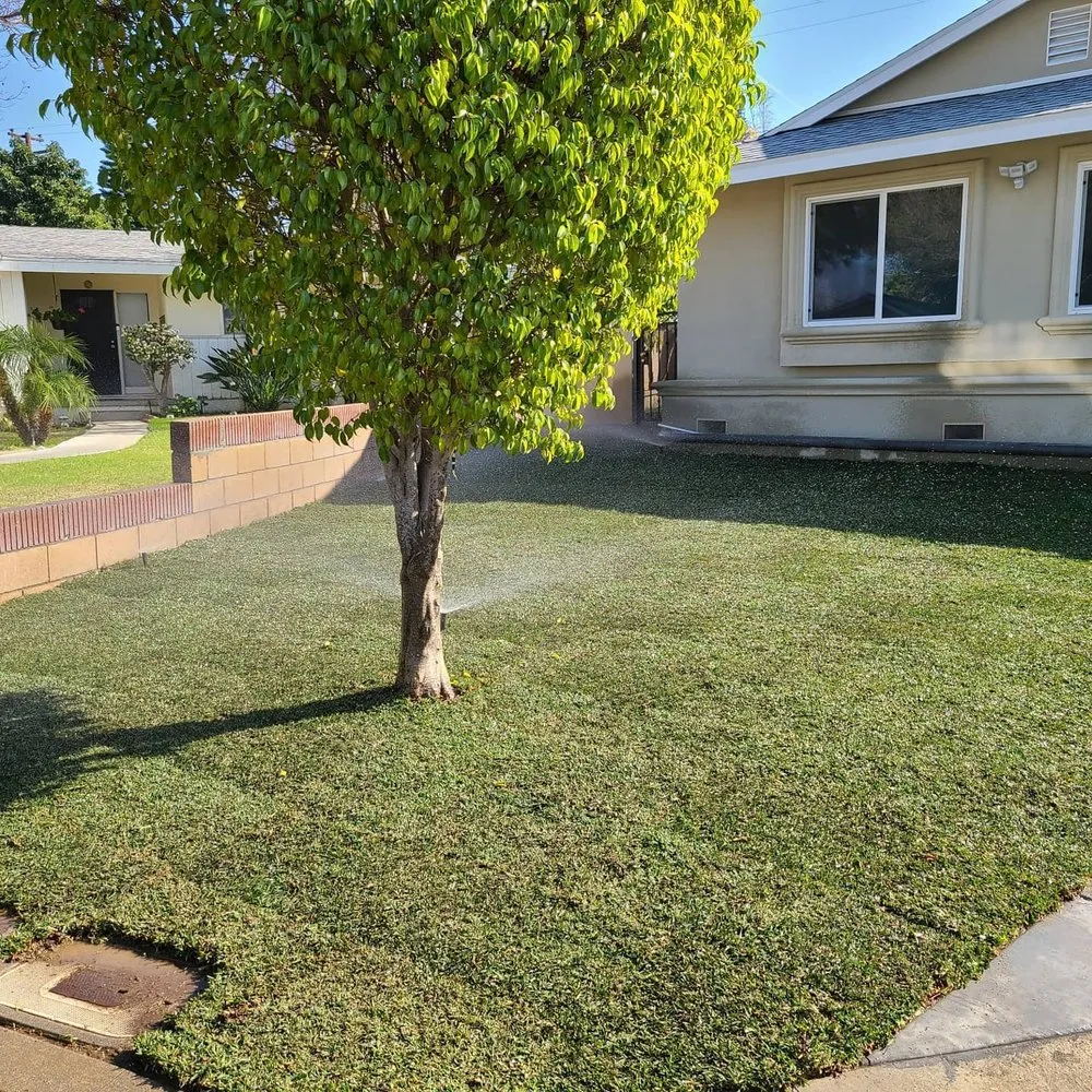 Expert lawn care service for residential properties in San Fernando Valley, CA by House Face
