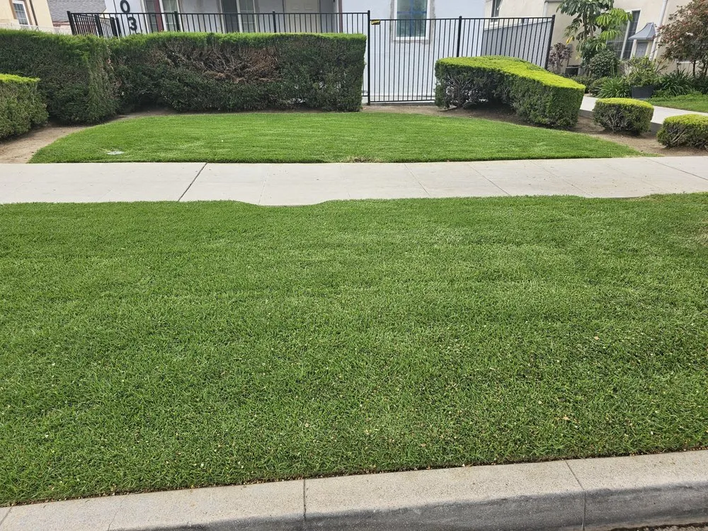 Reliable landscape design in San Fernando Valley, CA by House Face