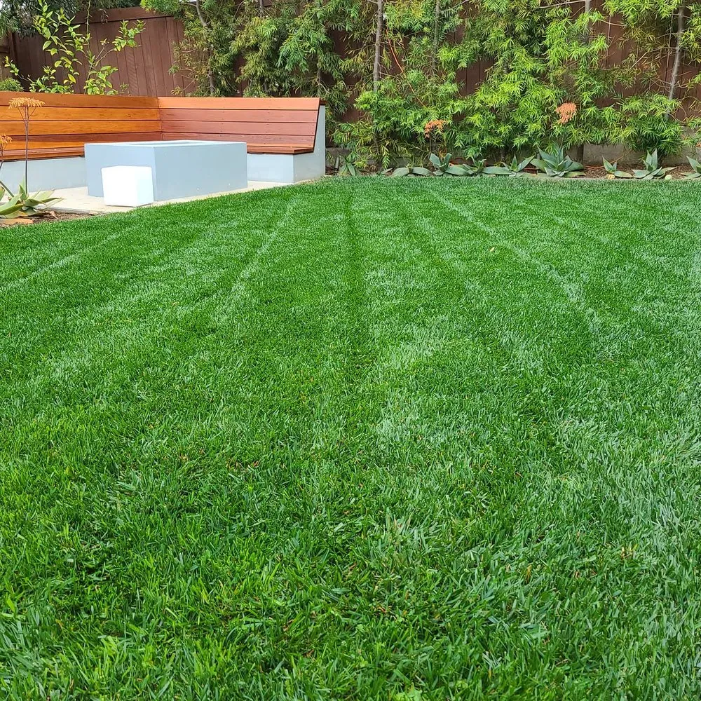 Professional residential landscaping in San Fernando Valley, CA by House Face