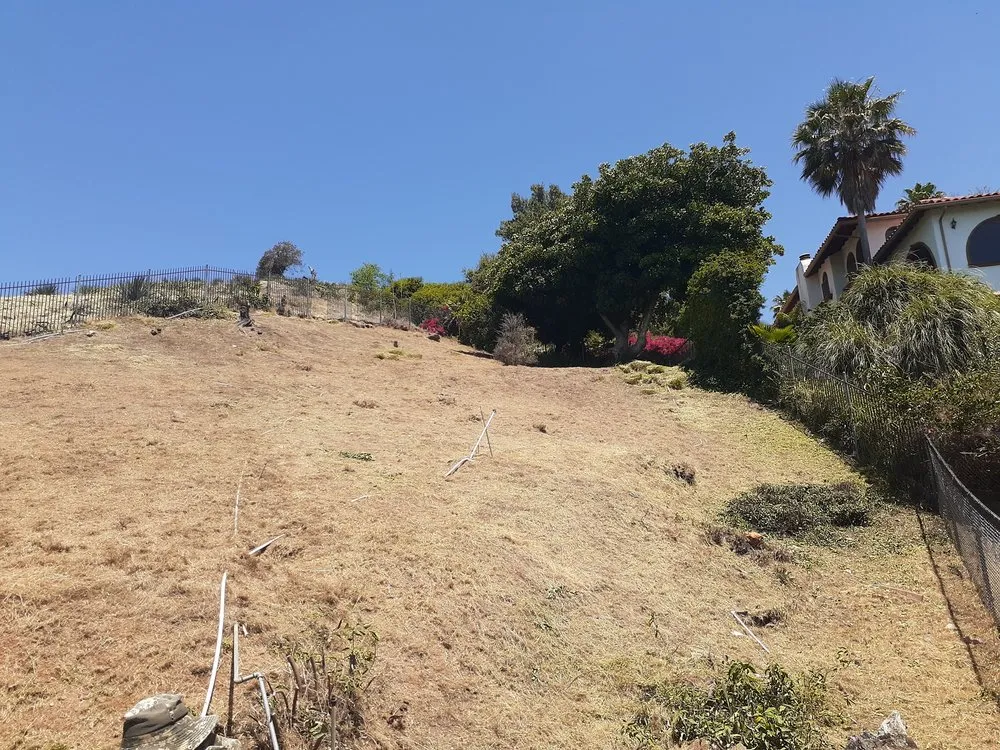 Trusted yard maintenance for homes in San Fernando Valley, CA by House Face