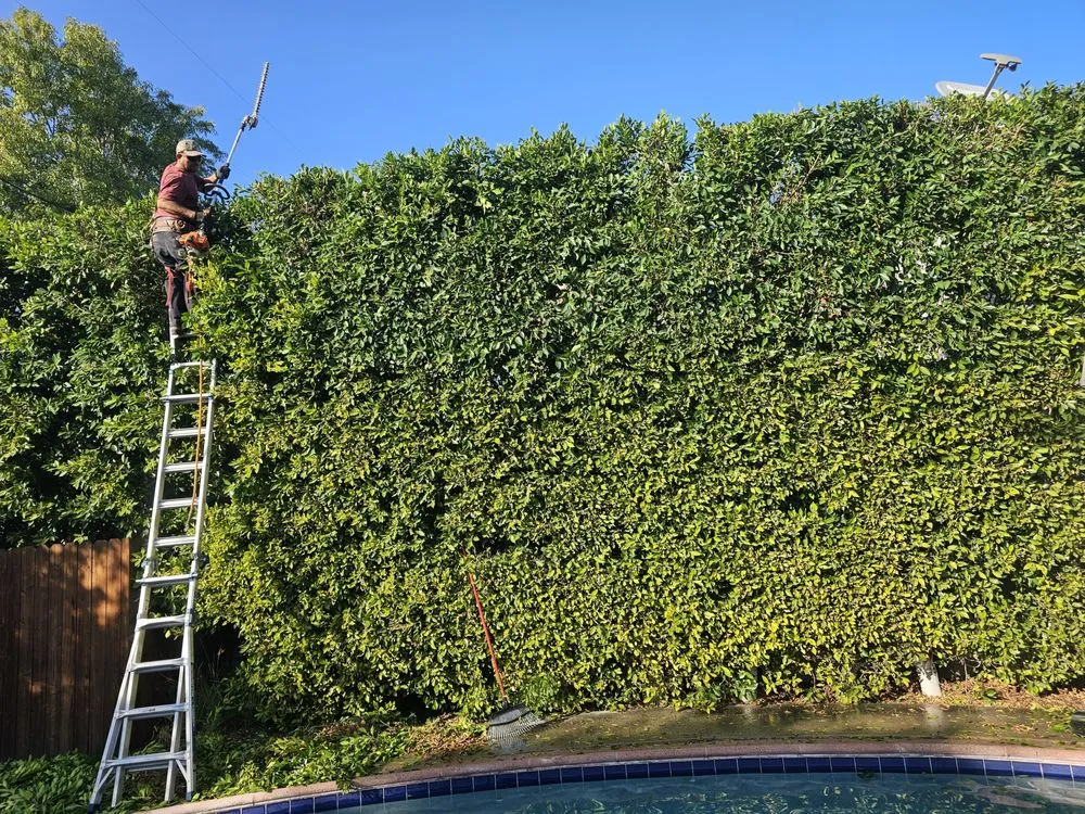 Trusted lawn mowing service experts serving San Fernando Valley, CA - House Face