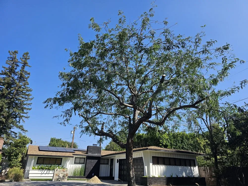 Expert yard maintenance in San Fernando Valley, CA - House Face