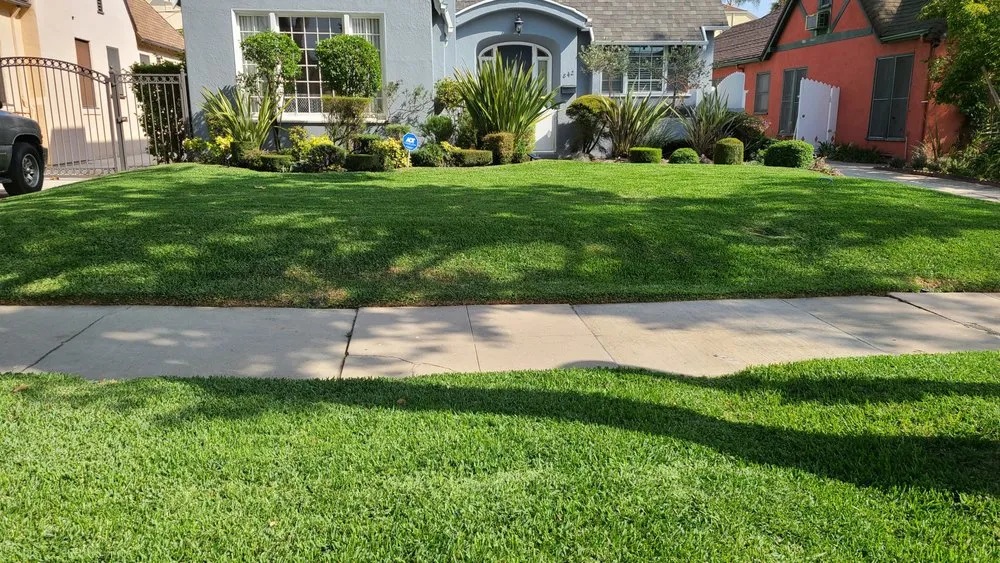 Top-rated yard maintenance for year-round maintenance in San Fernando Valley, CA by House Face
