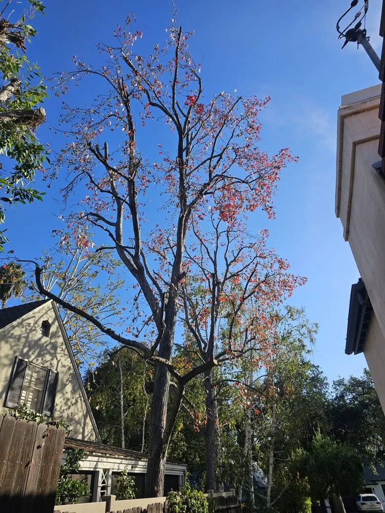 Trusted landscape design experts serving San Fernando Valley, CA - House Face