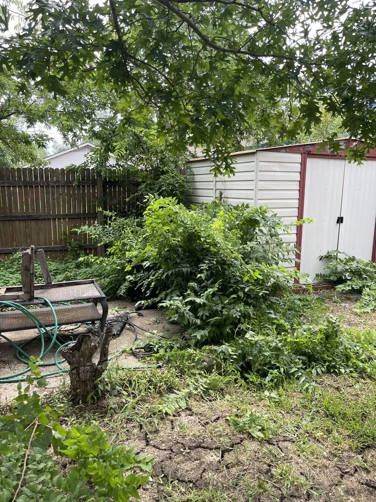 Local residential landscaping experts serving Bertram, TX - House Guy