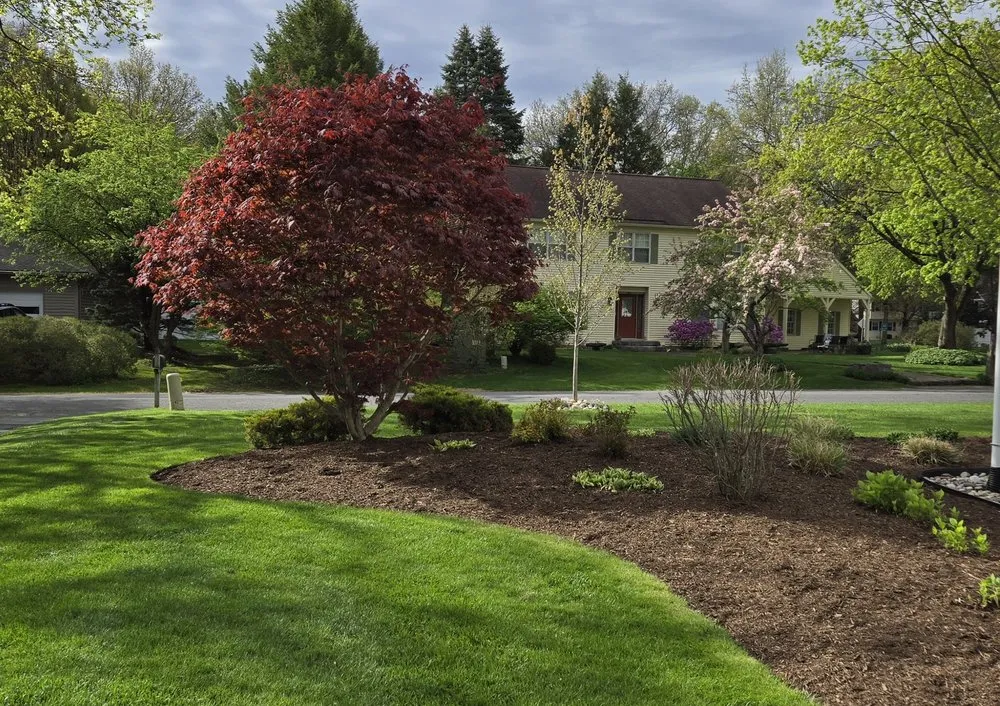 Expert yard cleanup service for year-round maintenance in Howes Cave, NY by House Of Becker