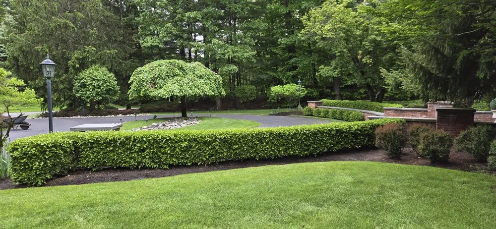 Local garden landscaping in Howes Cave, NY by House Of Becker