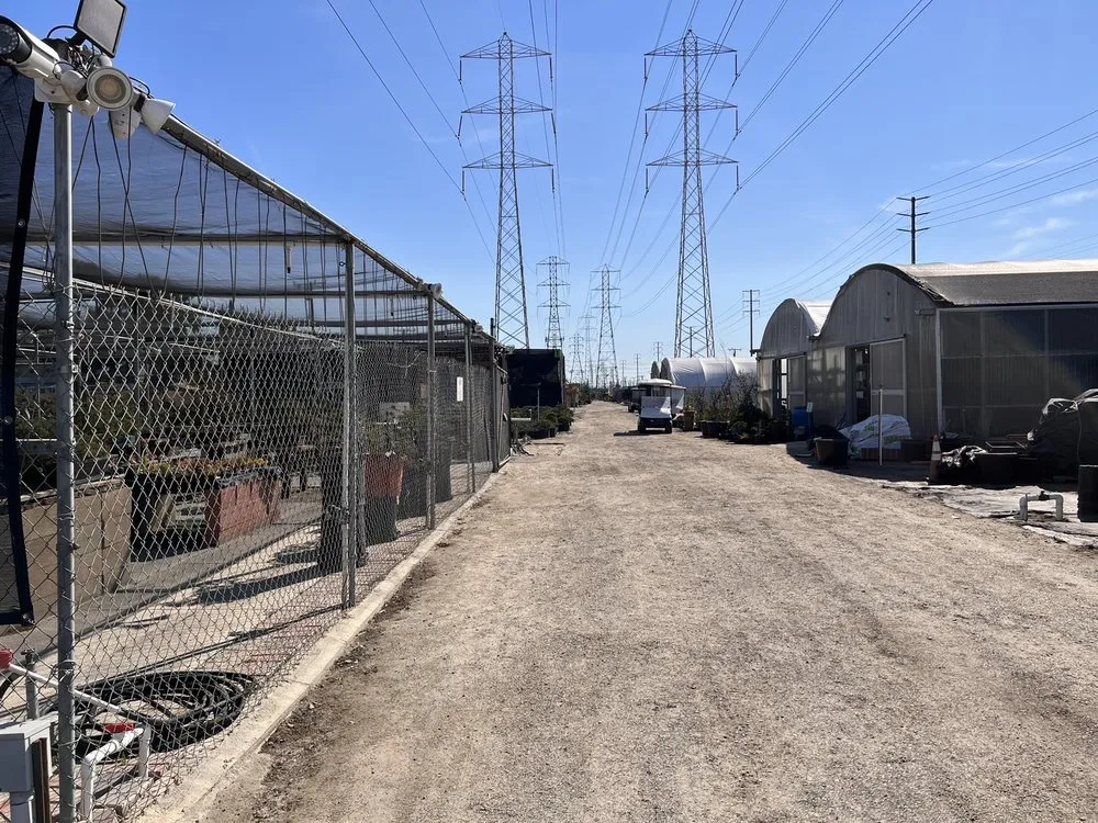 Reliable landscaping services experts serving Lakewood, CA - House of Bonsai