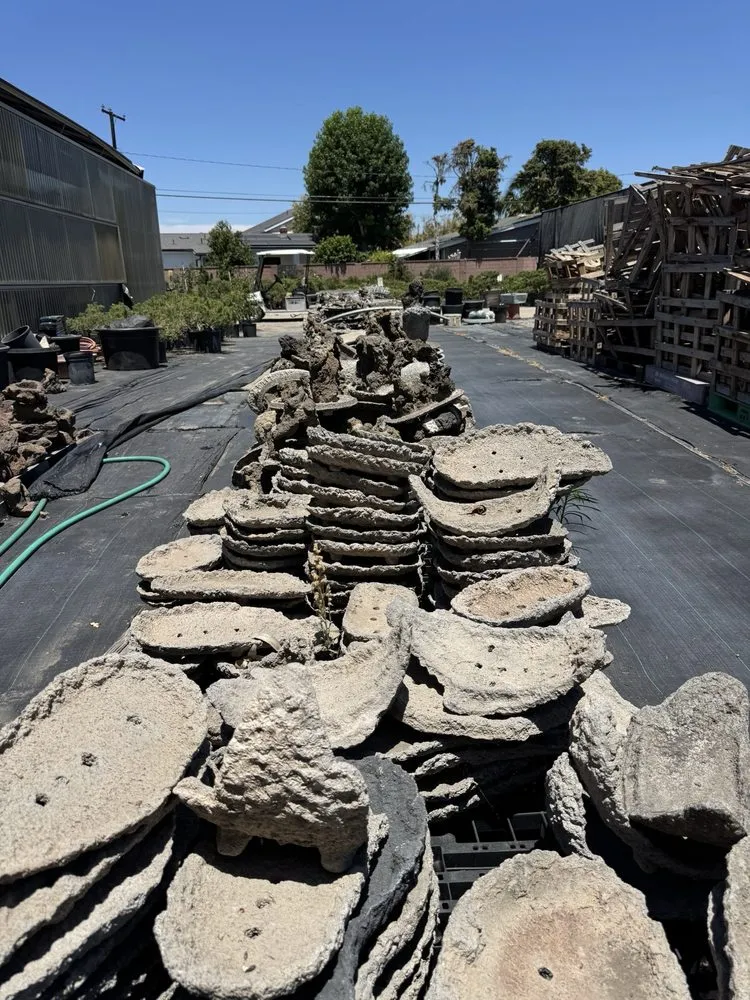 Expert landscape design near you across Lakewood, CA - House of Bonsai