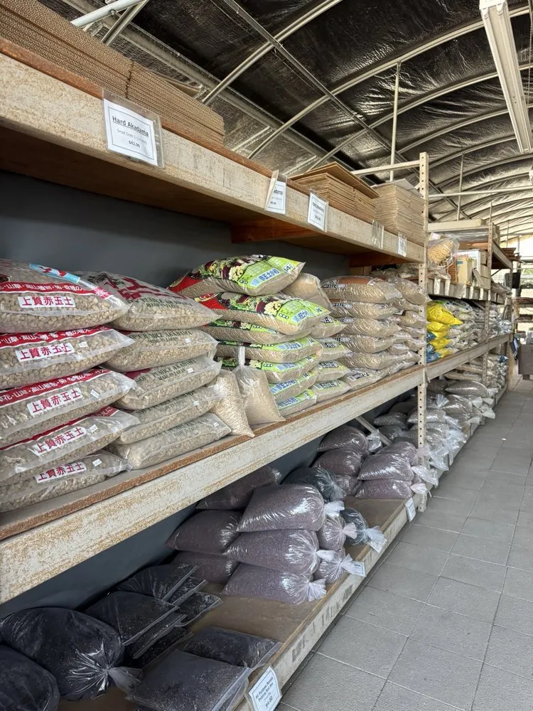 Affordable yard maintenance experts serving Lakewood, CA - House of Bonsai