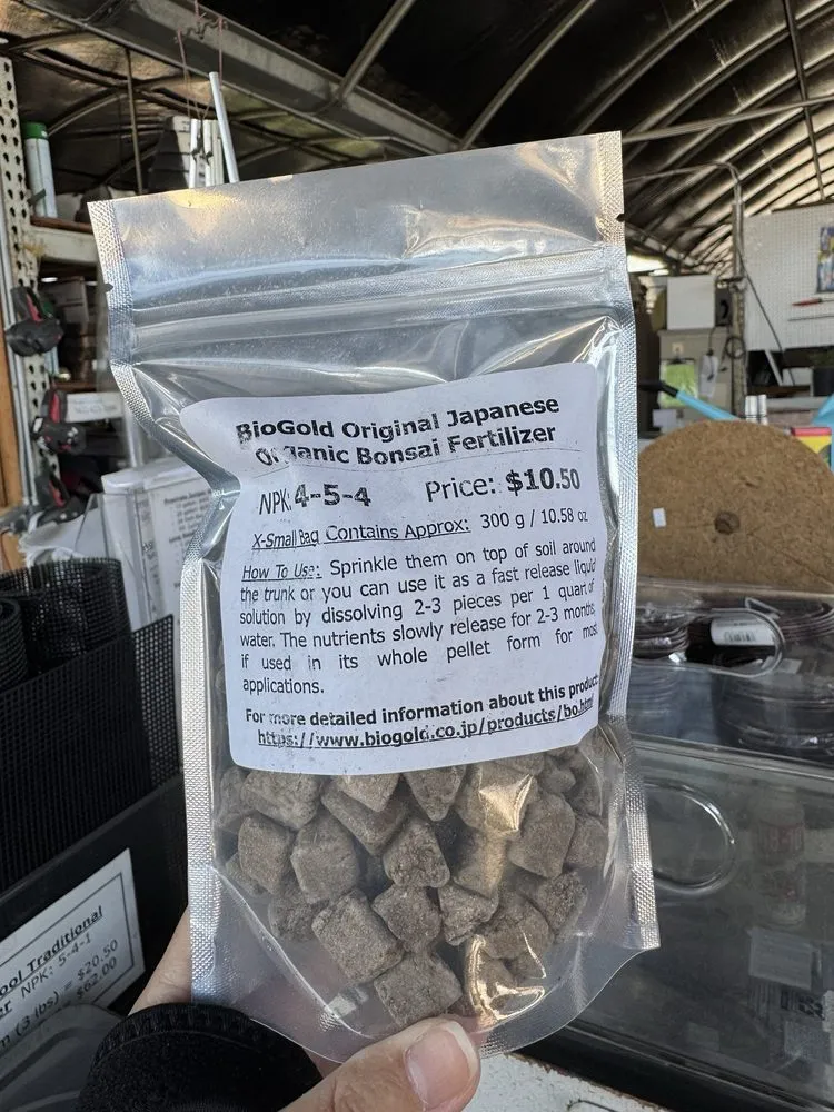 Top-rated garden landscaping experts serving Lakewood, CA - House of Bonsai