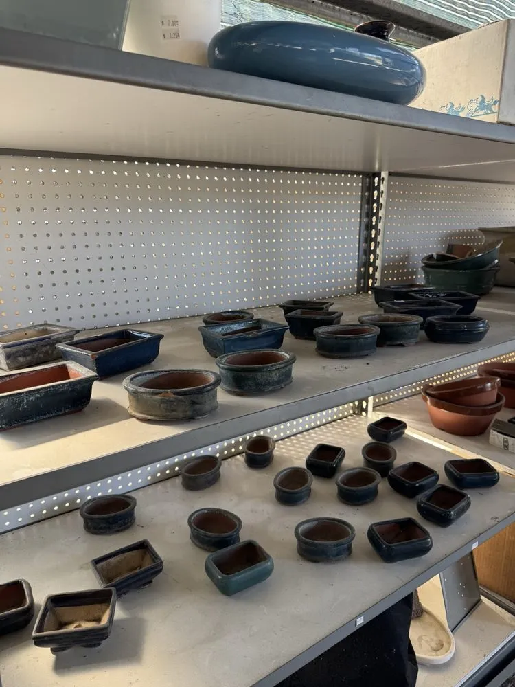 Trusted yard maintenance for homes in Lakewood, CA by House of Bonsai