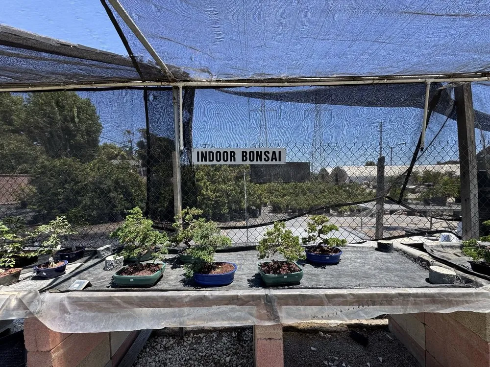 Top-rated outdoor landscaping experts serving Lakewood, CA - House of Bonsai