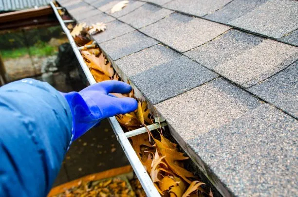 Trusted yard cleanup service in Terrell, NC - House Of Thorne