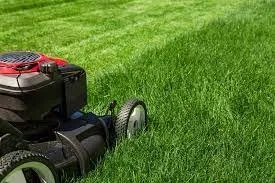Local yard maintenance in Terrell, NC - House Of Thorne