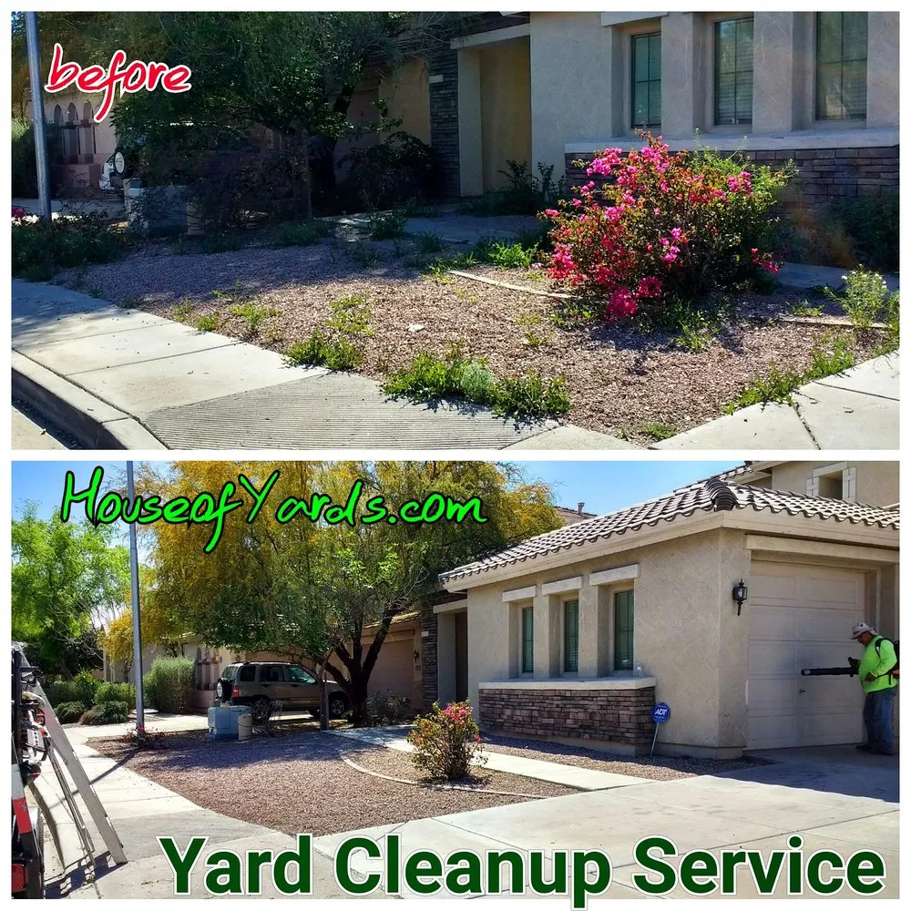 Custom yard cleanup service in Chandler, AZ - House of Yards