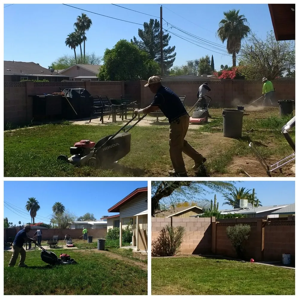 Affordable landscaping services for residential properties in Chandler, AZ by House of Yards