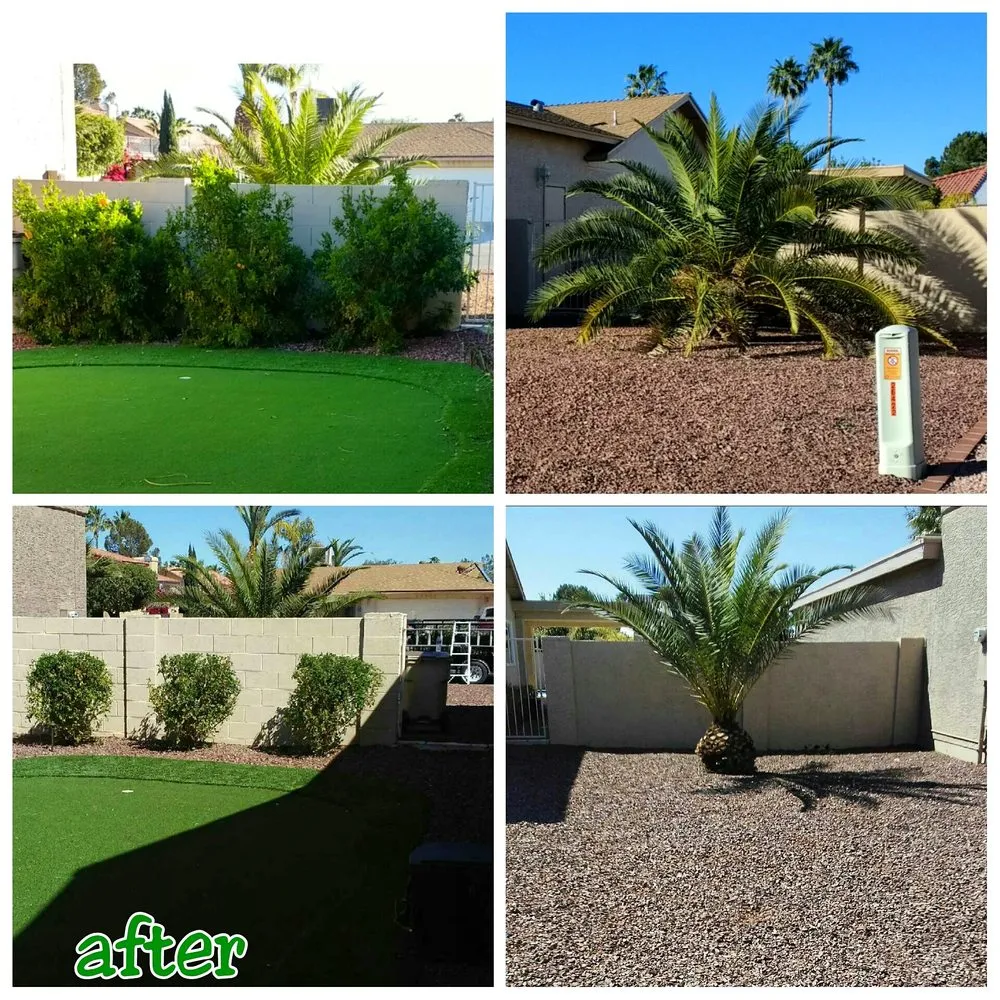 Trusted yard maintenance in Chandler, AZ by House of Yards