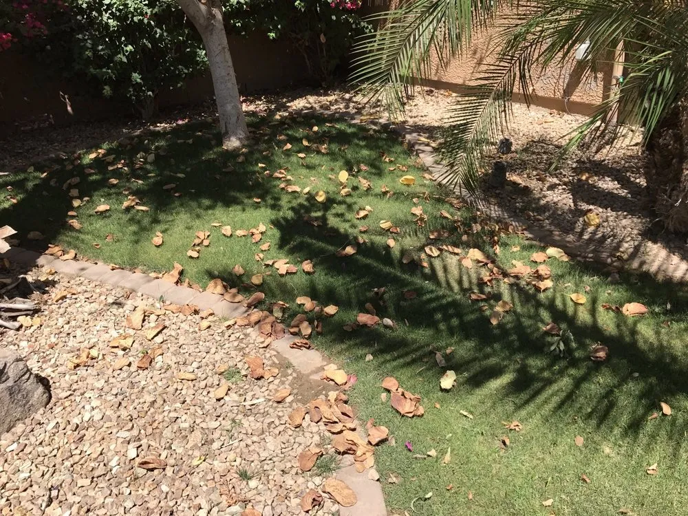 Expert landscaping services in Chandler, AZ - House of Yards
