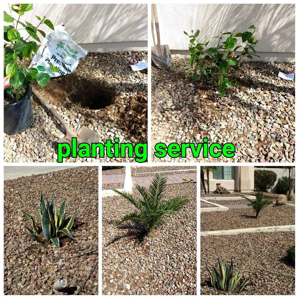 Top-rated yard maintenance in Chandler, AZ - House of Yards