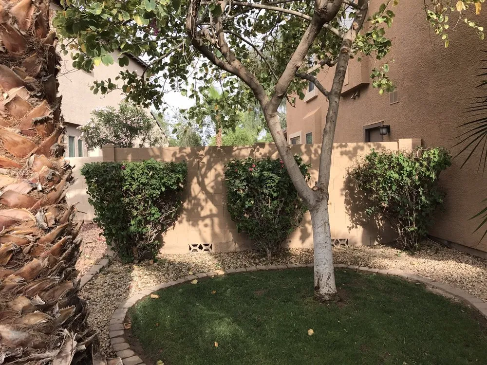 Expert landscaping services experts serving Chandler, AZ - House of Yards