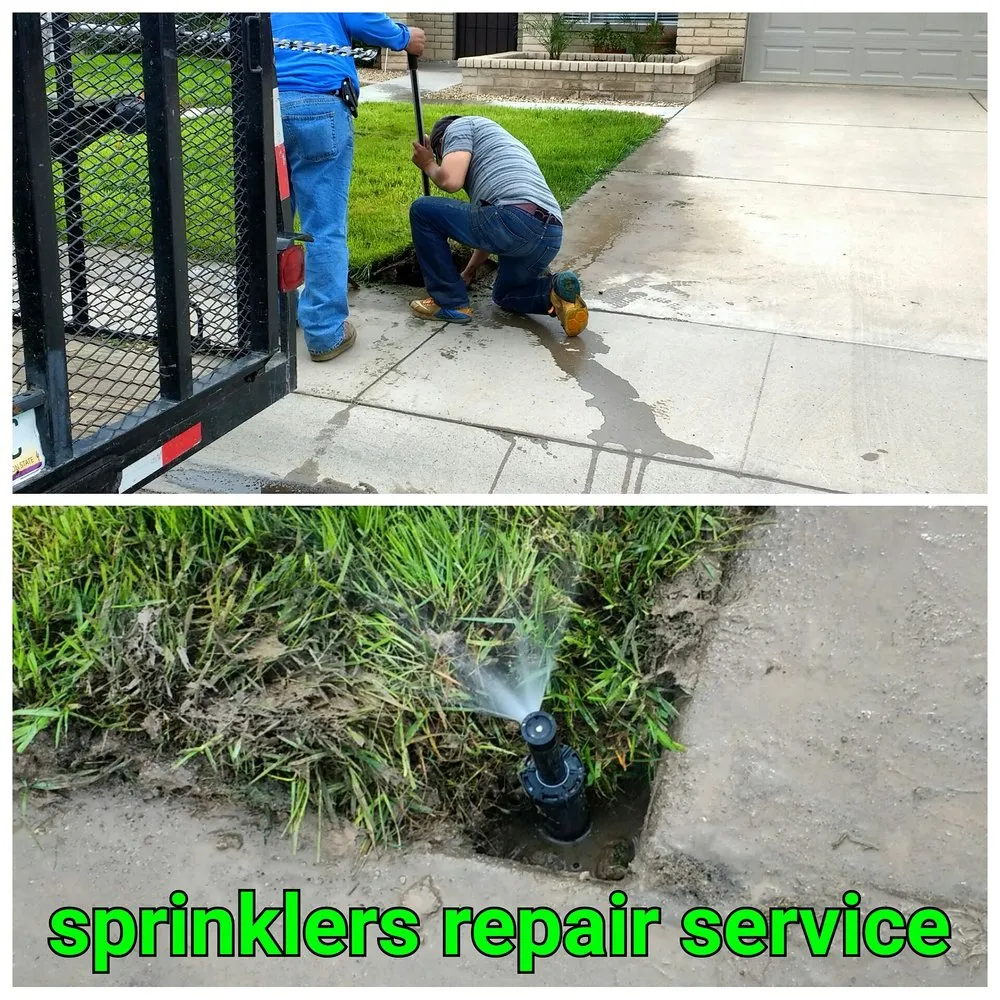 Expert yard maintenance experts serving Chandler, AZ - House of Yards