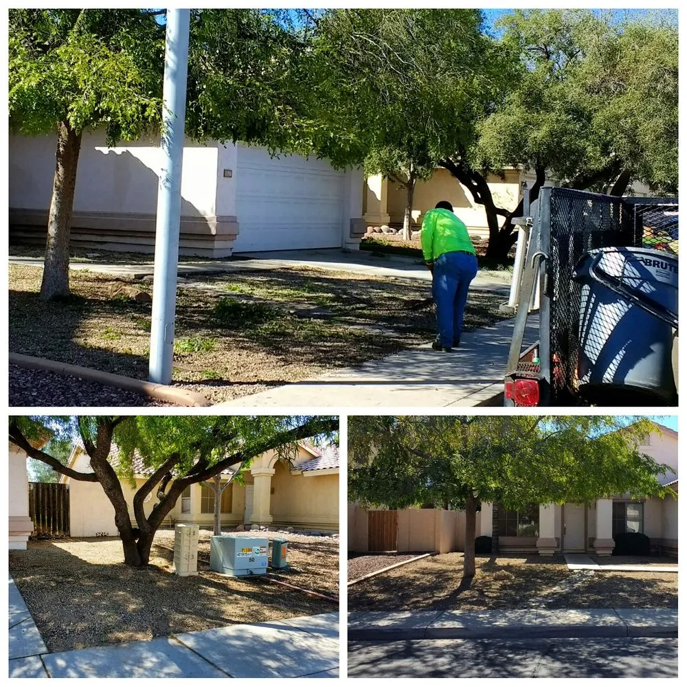 Custom landscaping services experts serving Chandler, AZ - House of Yards