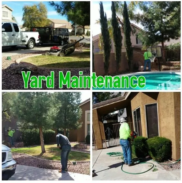 Custom landscaping services in Chandler, AZ by House of Yards