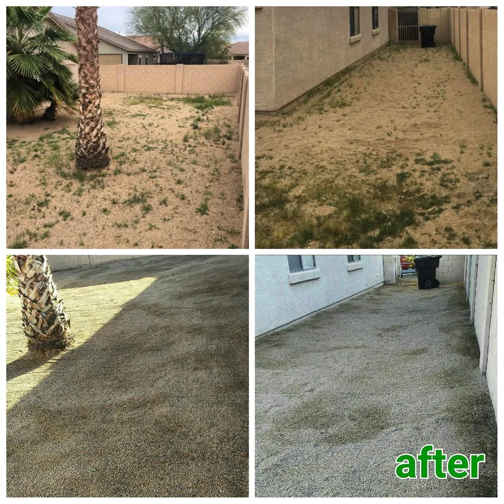 Custom landscaping services for residential properties across Chandler, AZ - House of Yards
