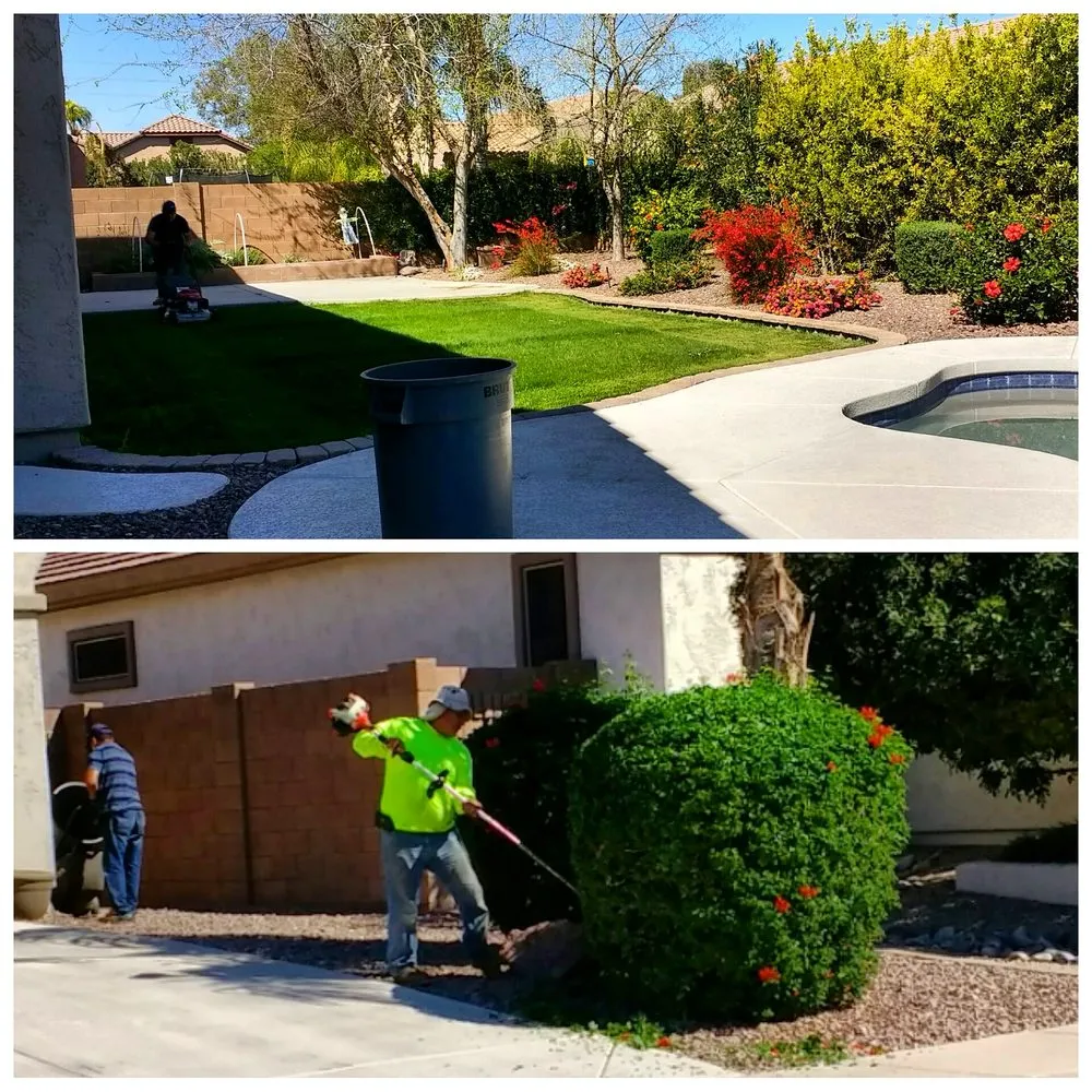 Local garden landscaping in Chandler, AZ by House of Yards