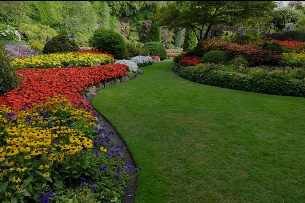 Professional landscaping services in Harvard, IL by House Revitalize