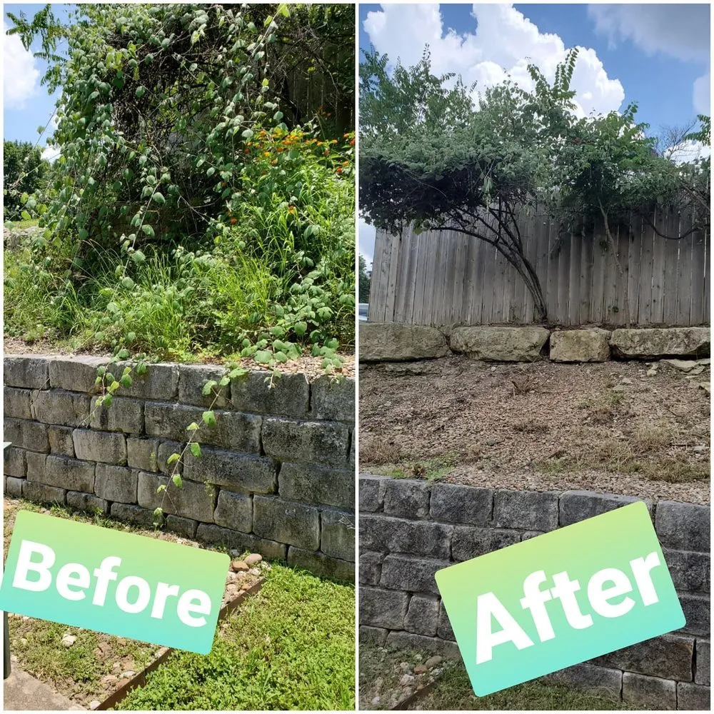 Affordable lawn care service experts serving Austin, TX - House to House