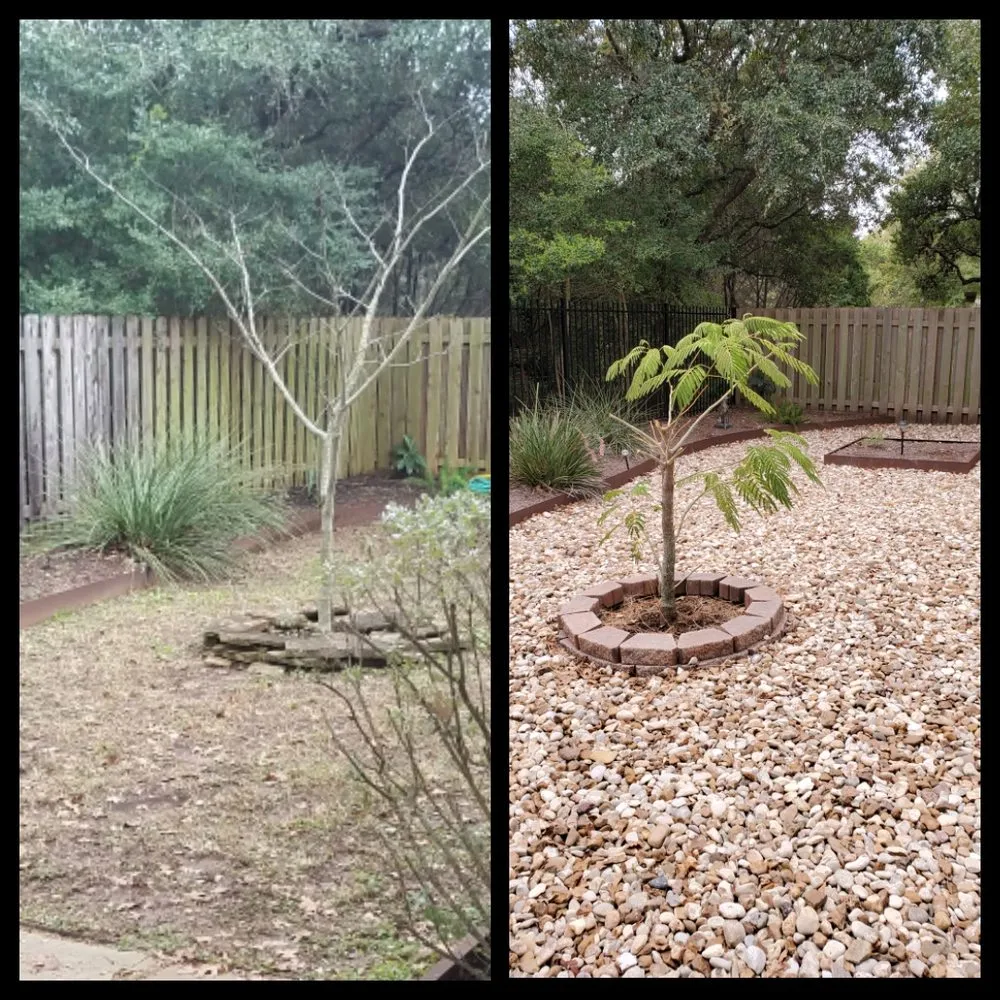 Professional landscape design in Austin, TX - House to House