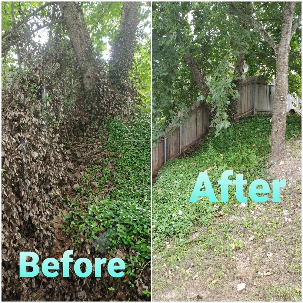 Reliable landscape installation in Austin, TX - House to House