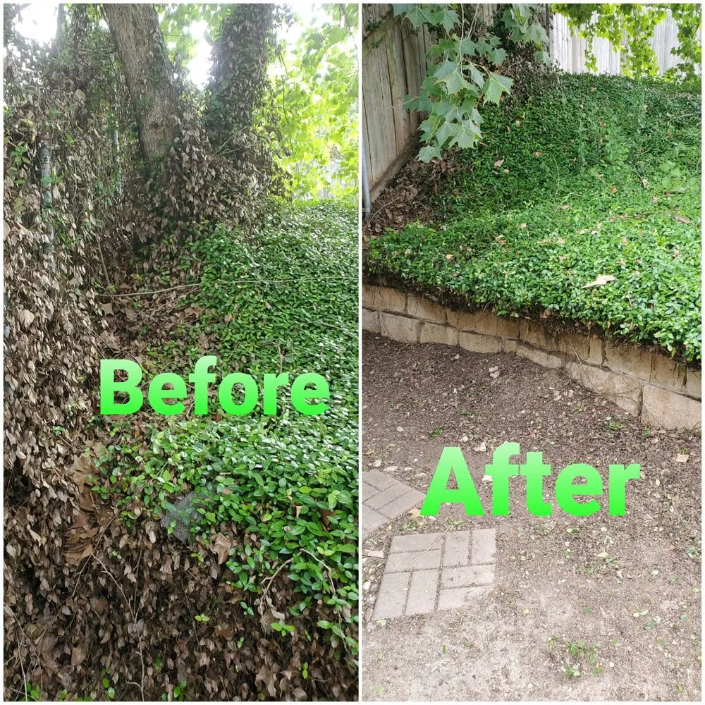 Trusted lawn mowing service in Austin, TX - House to House