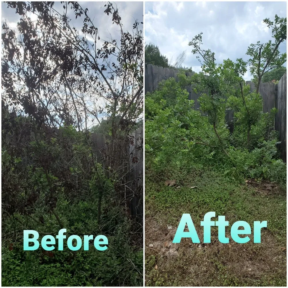 Top-rated yard maintenance for residential properties in Austin, TX by House to House