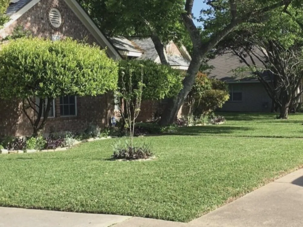 Top-rated lawn care service experts serving Austin, TX - House to House