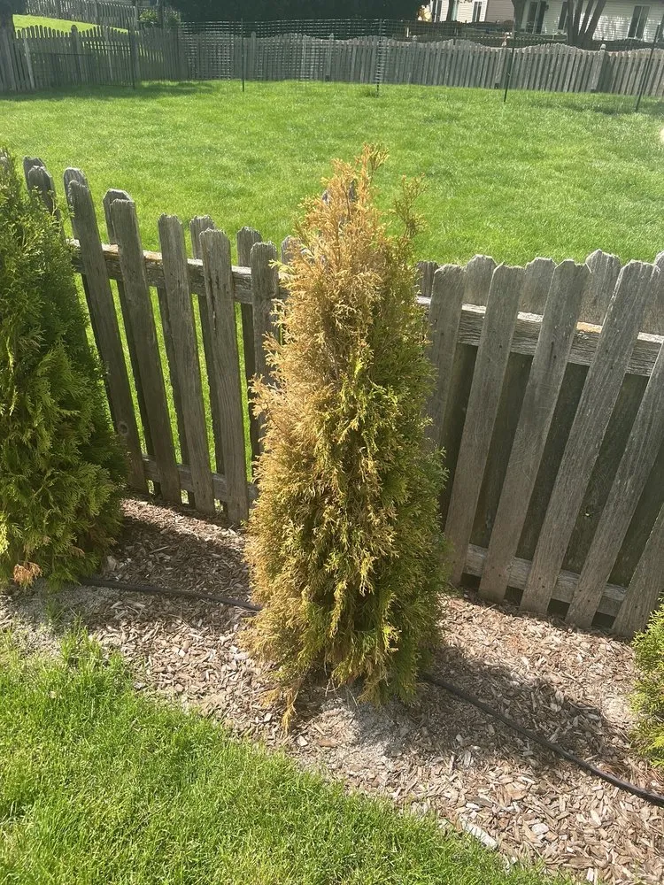 Professional landscape installation experts serving Elgin, IL - House To House Landscaping