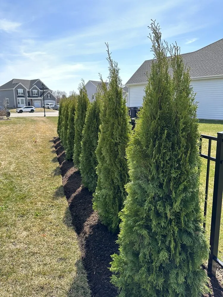Trusted yard maintenance in Elgin, IL - House To House Landscaping