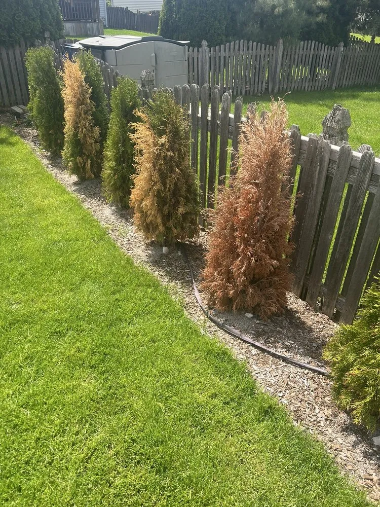 Reliable landscape installation for year-round maintenance in Elgin, IL by House To House Landscaping