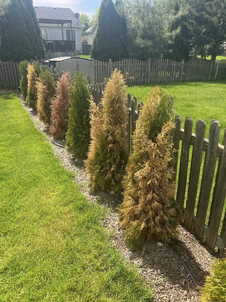 Expert landscape installation for year-round maintenance across Elgin, IL - House To House Landscaping