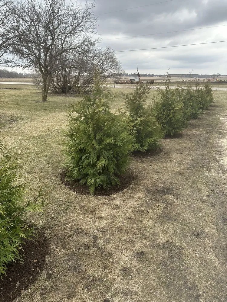 Reliable garden landscaping in Elgin, IL by House To House Landscaping