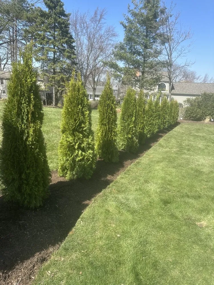 Expert residential landscaping experts serving Elgin, IL - House To House Landscaping