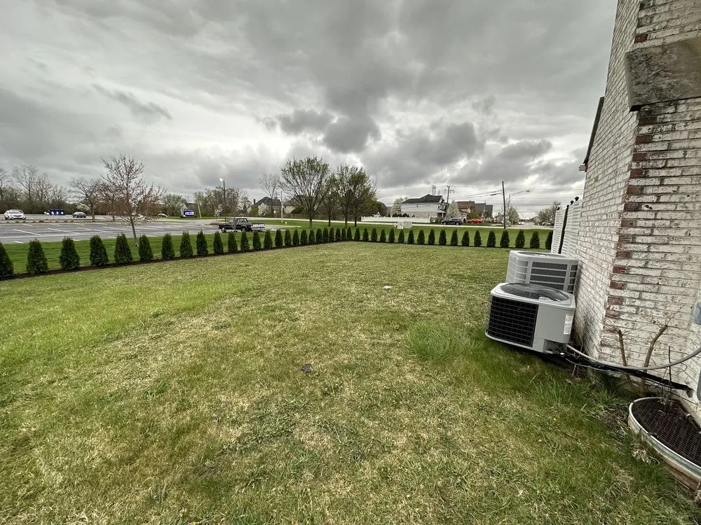 Trusted yard cleanup service in Elgin, IL - House To House Landscaping