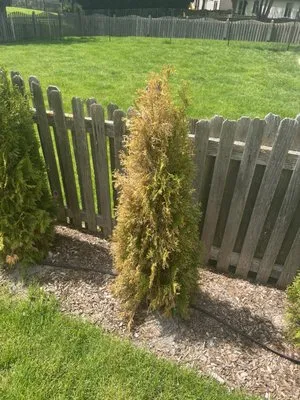 House To House Landscaping Logo